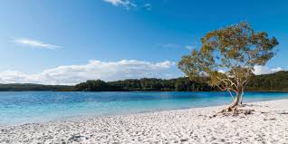 Fraser Island - Valley of the Giants