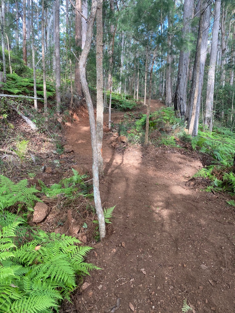 Kirby's Reserve - Maleny National Park Reconnaissance Walk