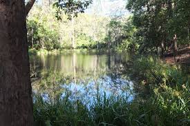 Maroochy Regional Bushland Botanical Garden 