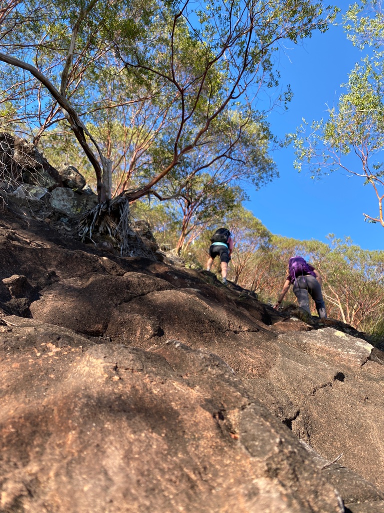 North Face Mt Ngungun & Mt Tibberoowuccum