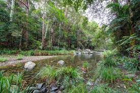 Stony Creek and tributary