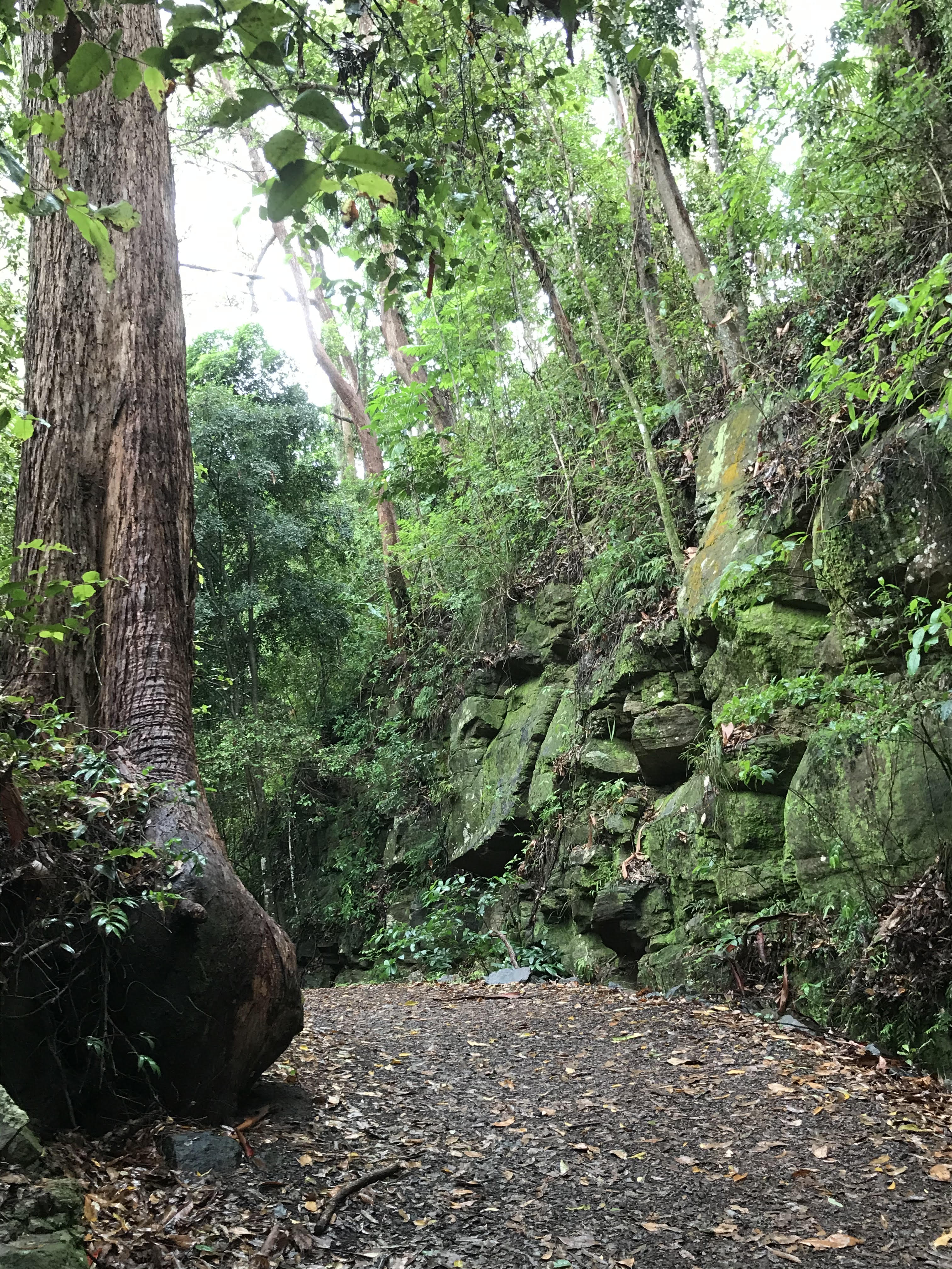 Heritage Tramway walk