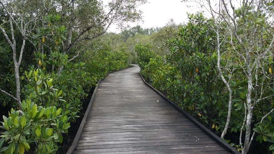 Bli Bli to Maroochy Wetlands and Return