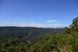 Great Walk Gold Coast Hinterland