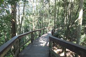 Maleny Trail and Platypus spotting