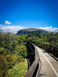 Bike and Breaky- Maroochy to Mt Coolum and return