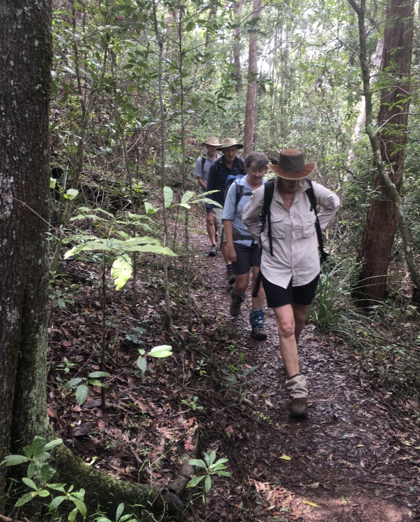 Mt Allan, Spikes Hut Circuit