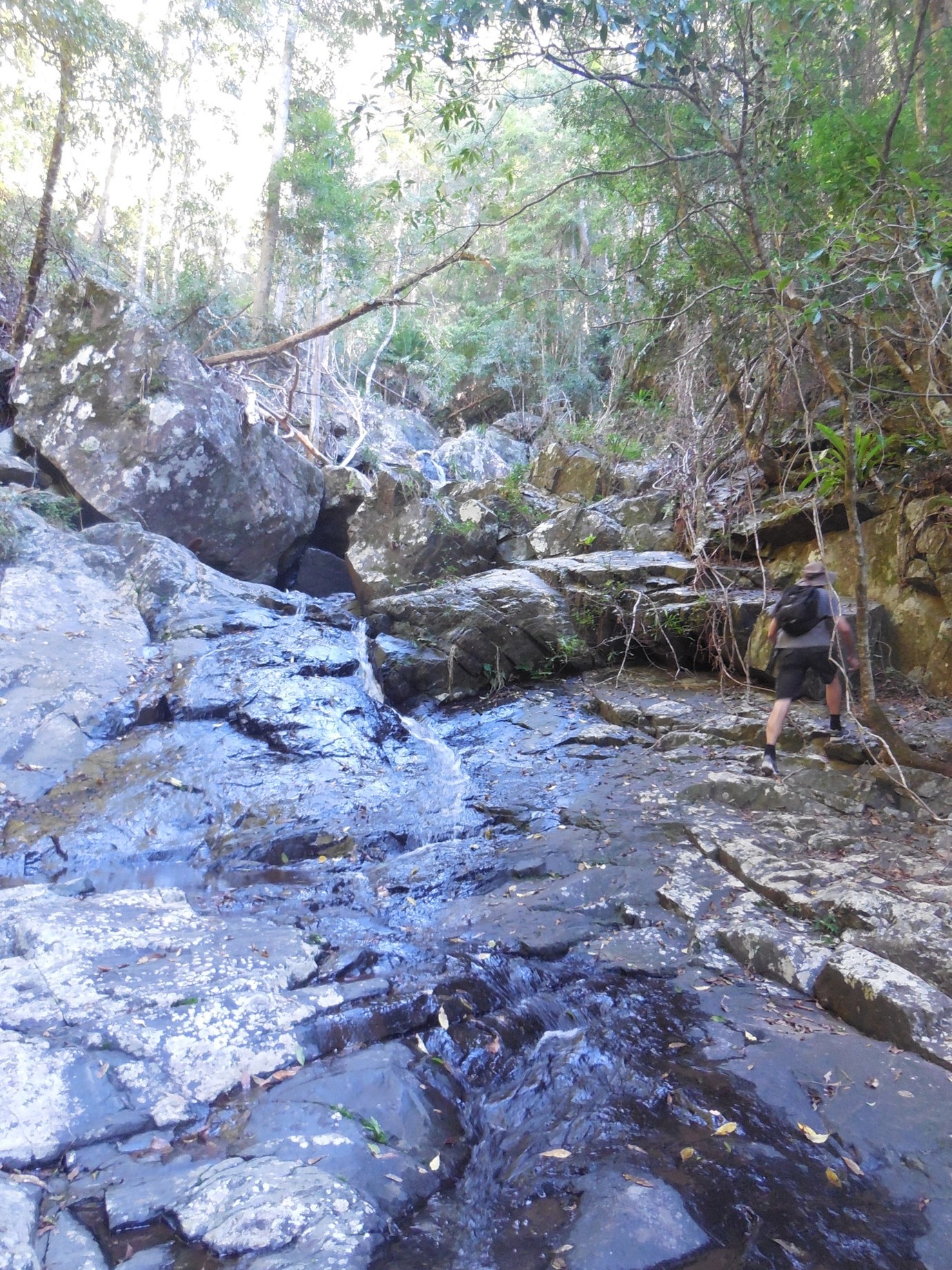 Summer Creek Falls Upstream *POSTPONED* 