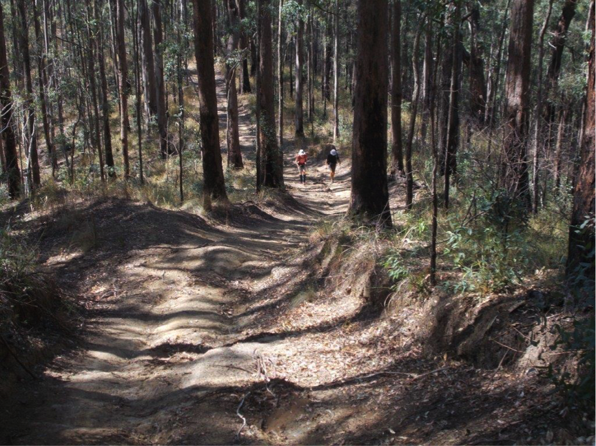 Big Red - Conondale National Park