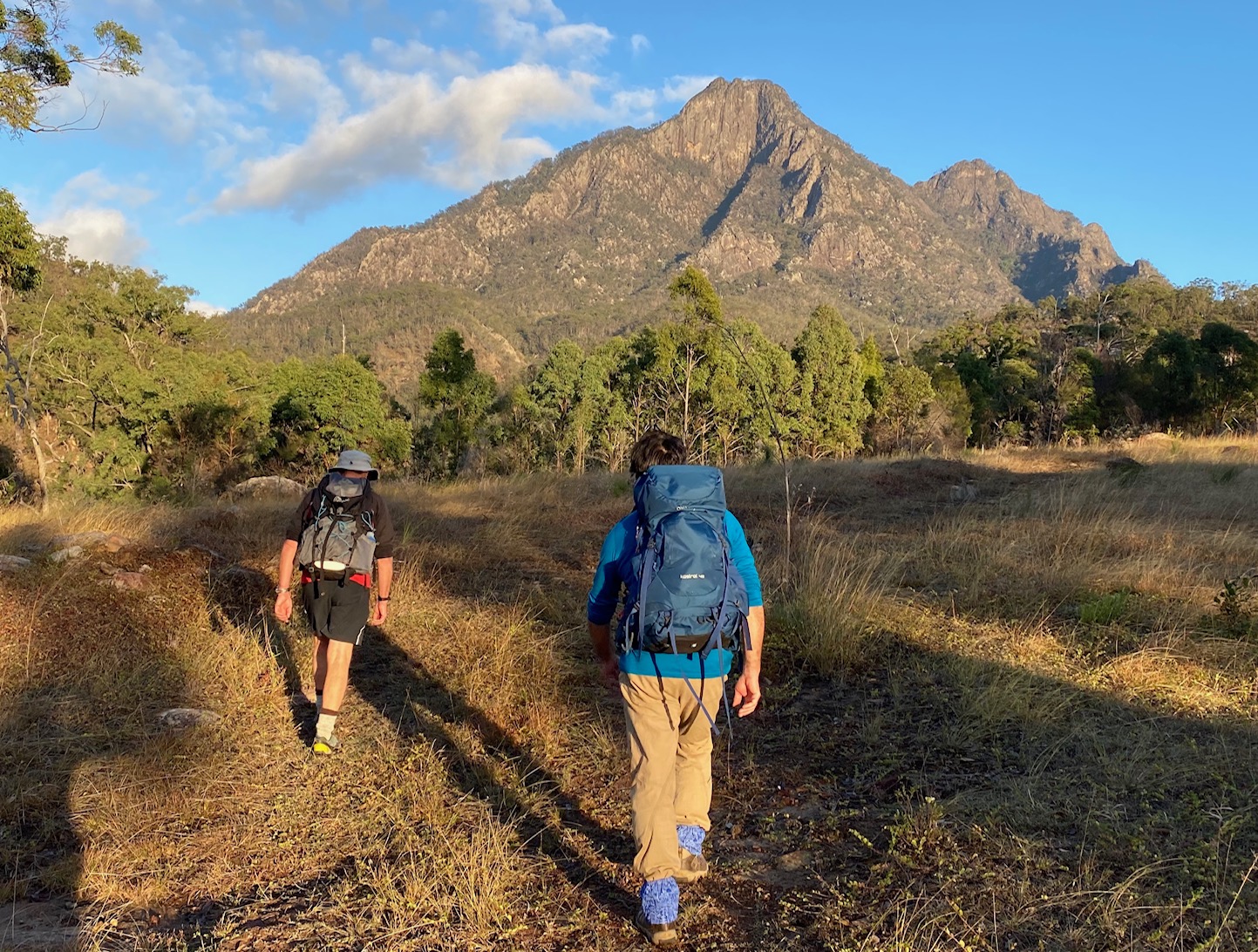 Climb Mt Barney North Ridge