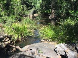 Gheerulla Falls Fire Trail