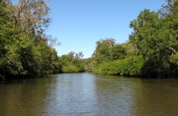 Mooloolah River 