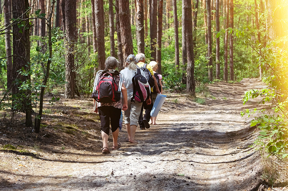 Eumundi Conservation Park