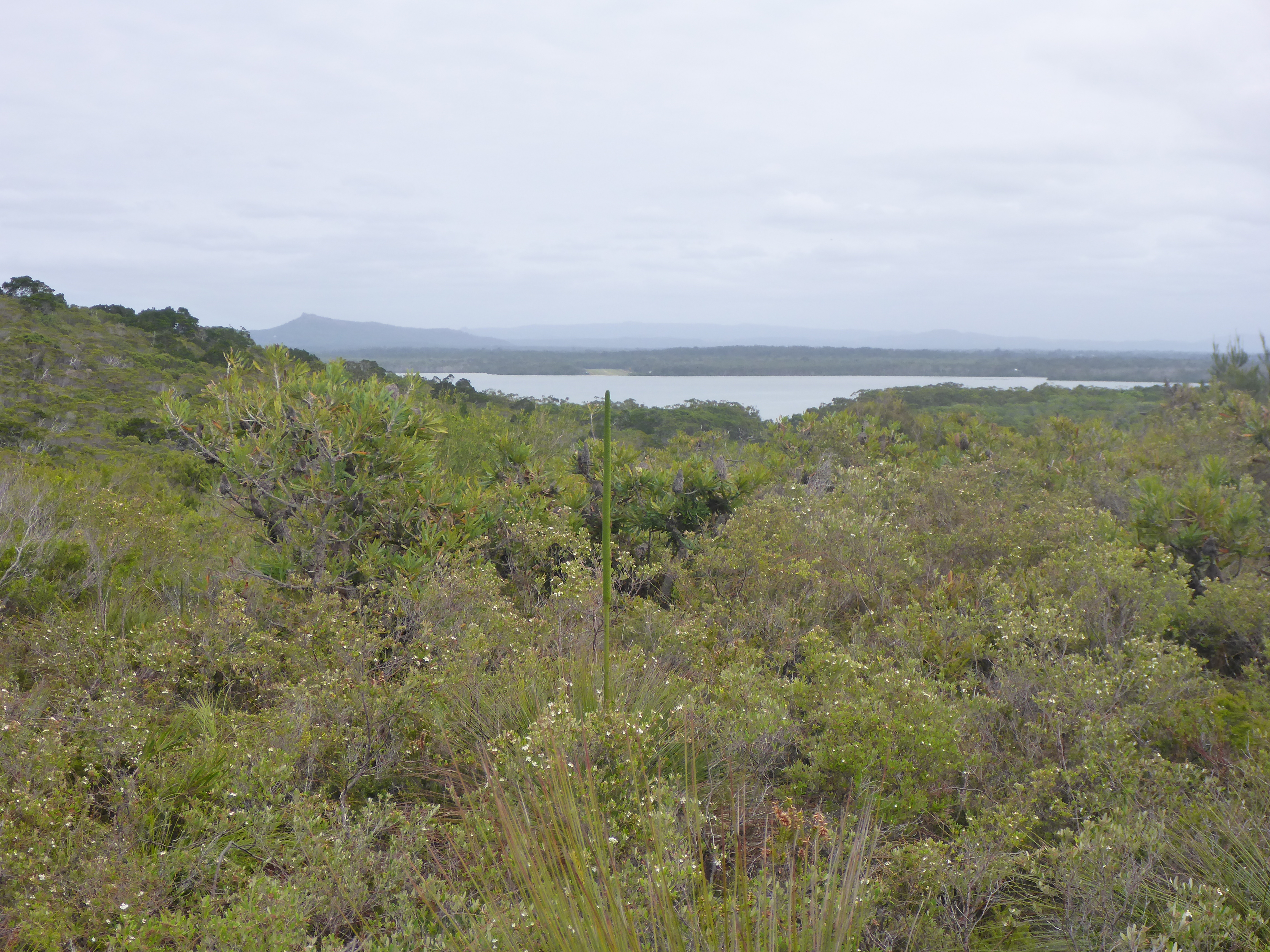 FULL Noosa NP - Marcus Dunes Hike