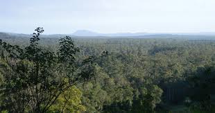 Noosa Trail #3 and #5 Tablelands Lookout to Cooran / Pomona