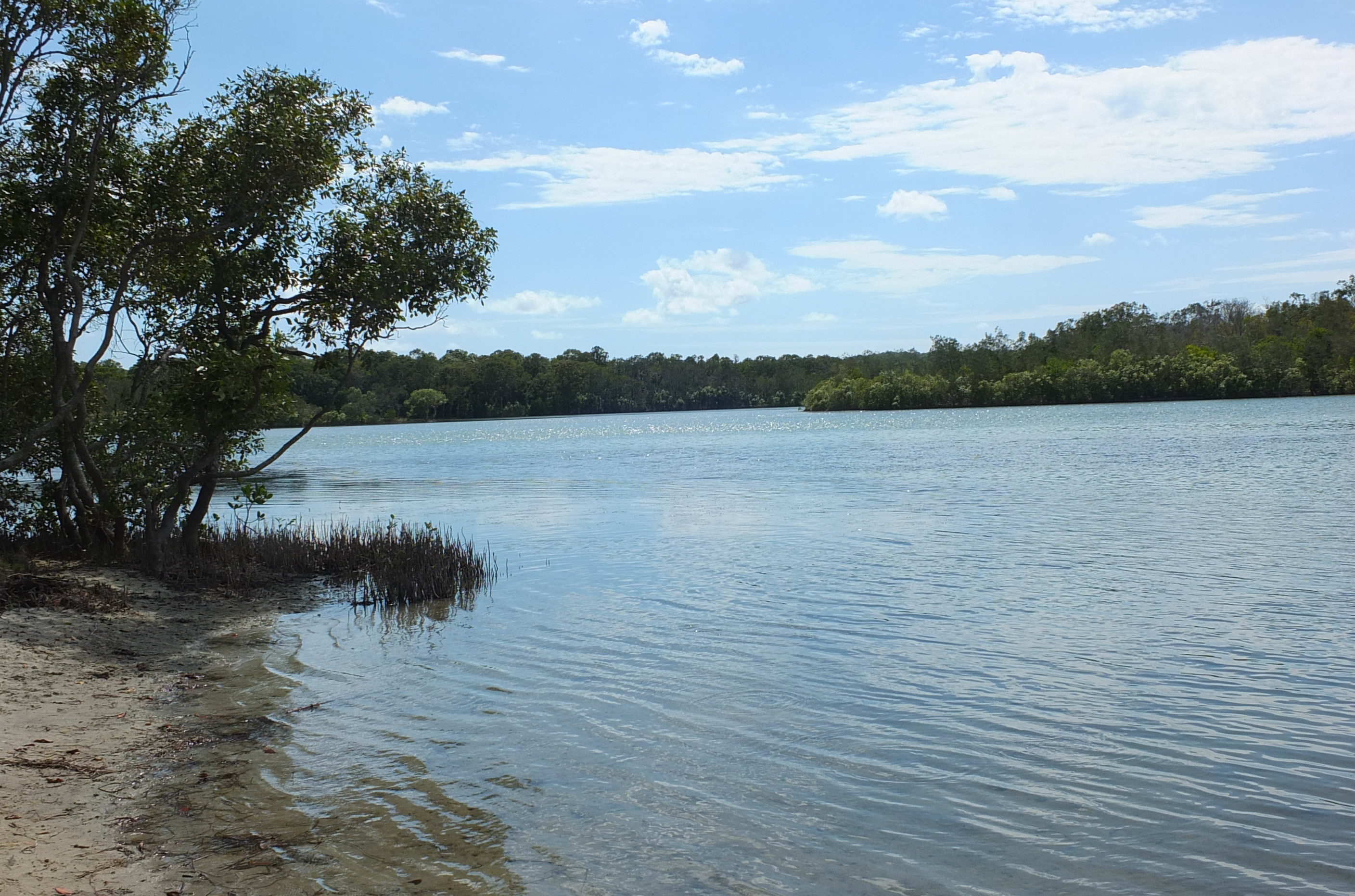 FULL Lake Weyba Foreshore Walk