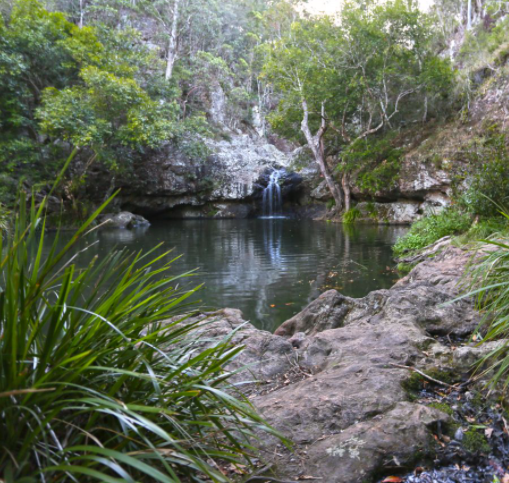 Healthy Sunshine Coast Baroon Pocket to Kondalilla