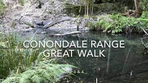 Conondale Track Maintenance