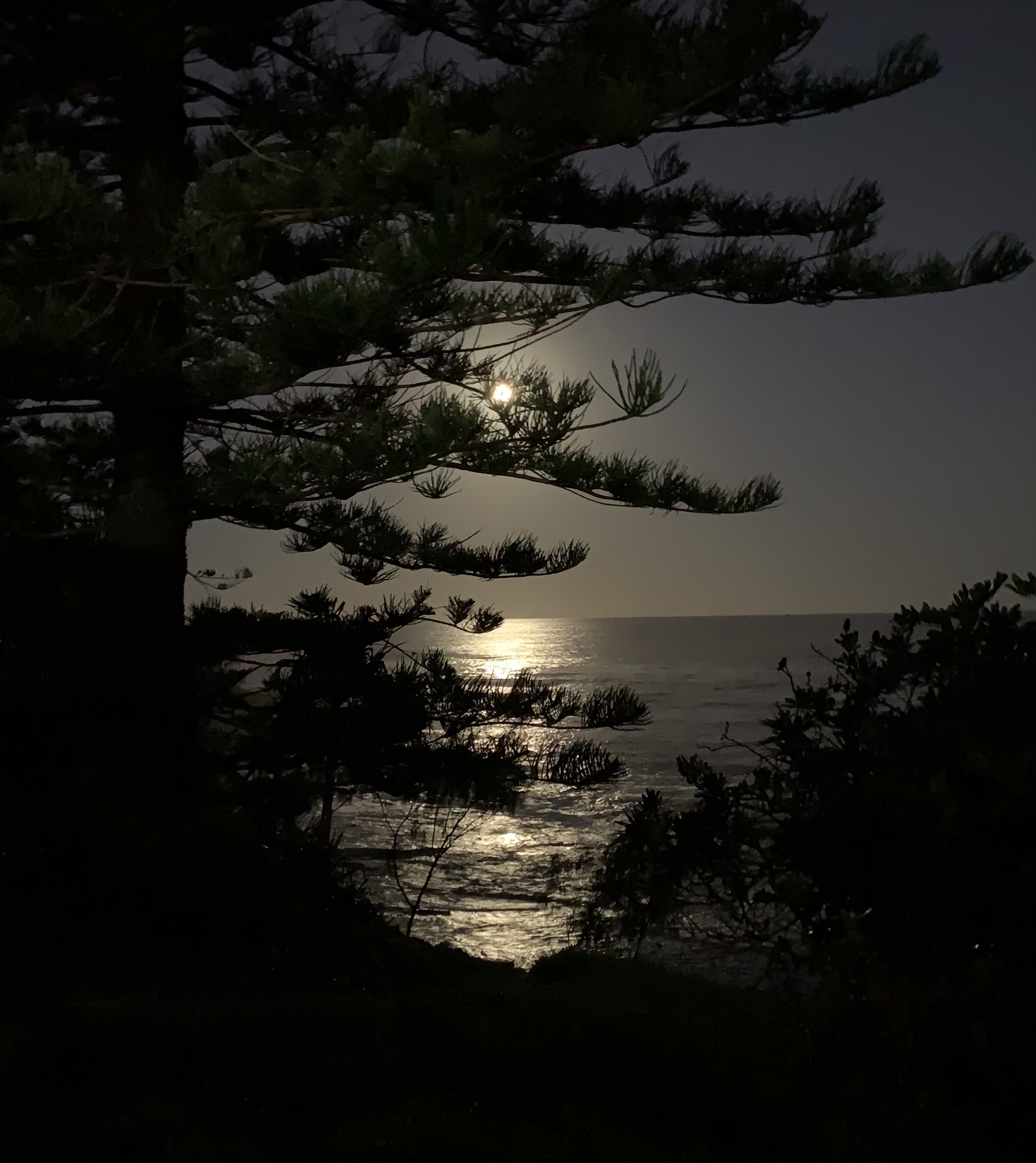 Caloundra Coastal Pathway - Evening 'Full Moon' Walk 