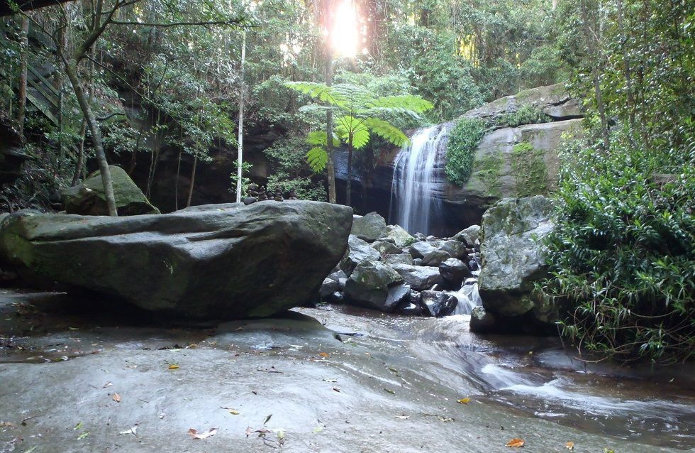 Buderim Secret Trails 