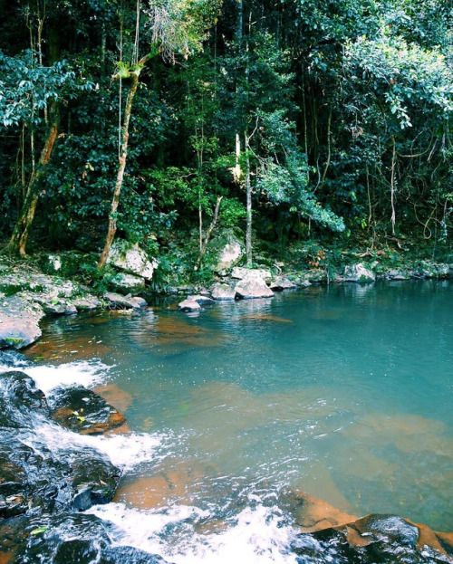 Obi Obi Tributary Kondalilla National Park