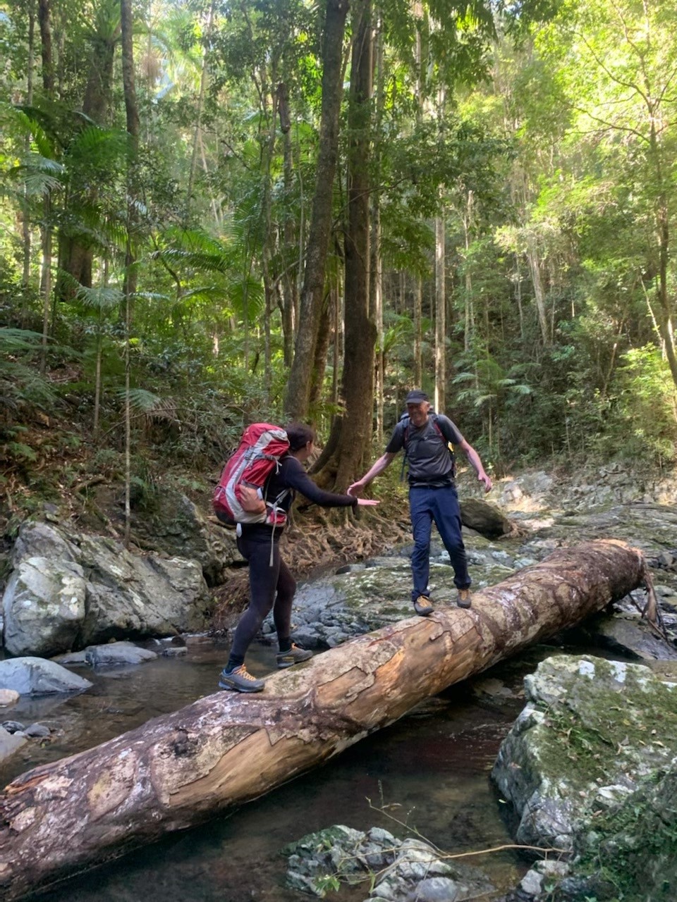 Love Creek Walk