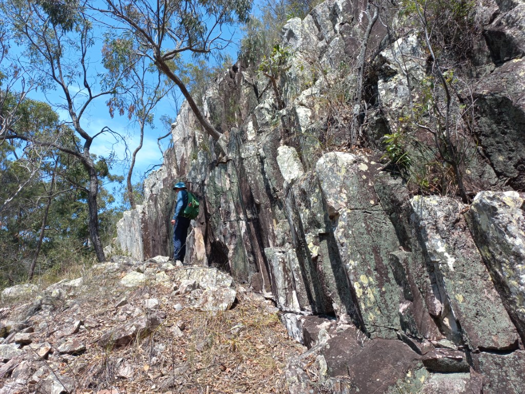 Mt Tinbeerwah Off-Track Adventure