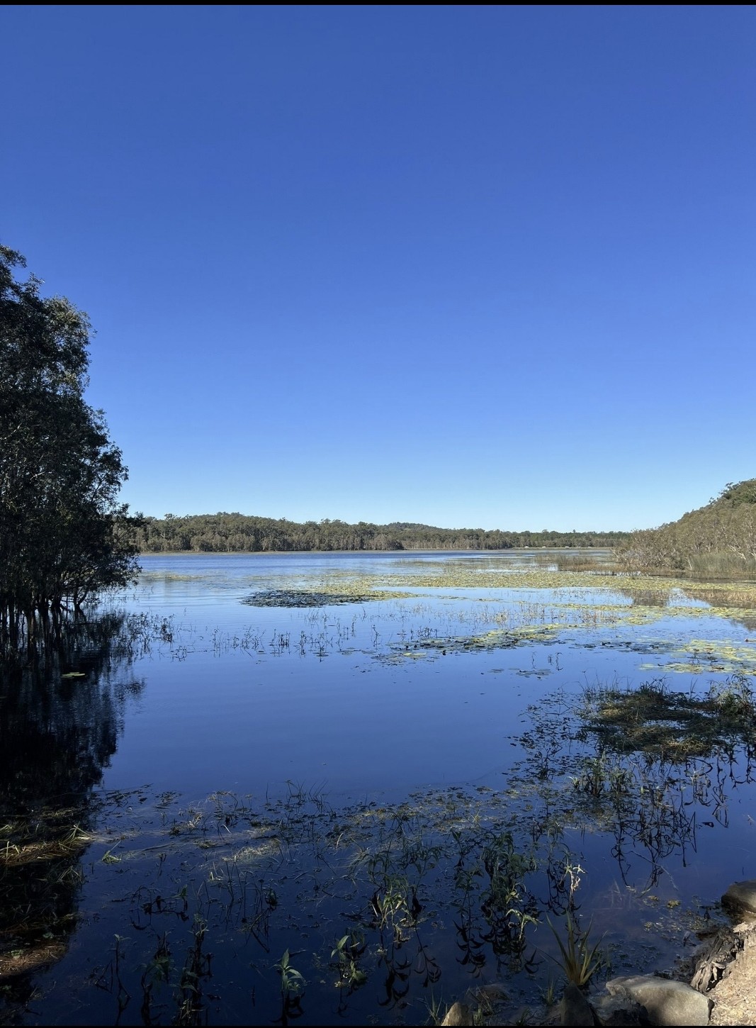 Ewen Maddock Dam