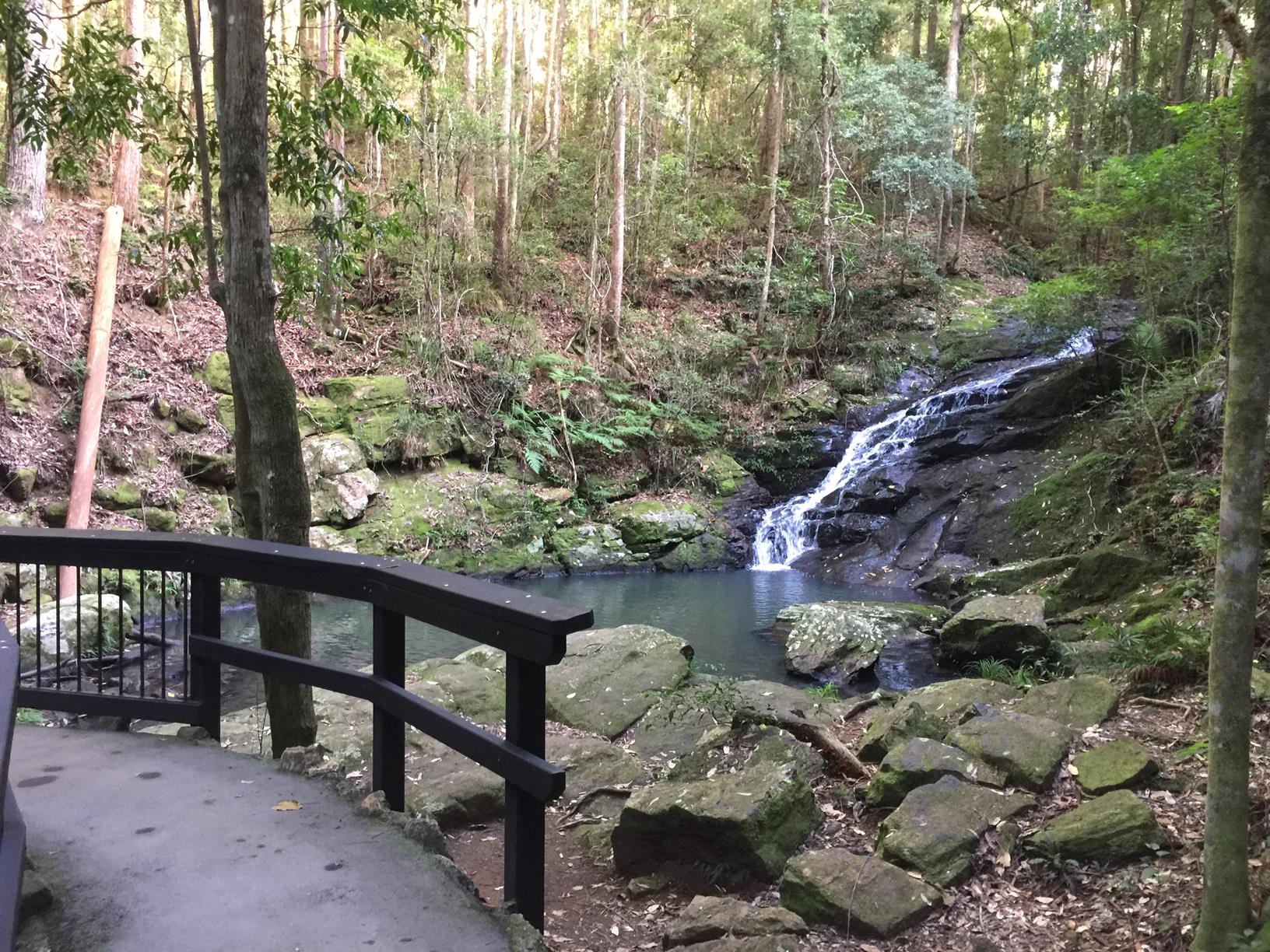 FULL Easy Trail Maintenance Sunshine Coast Hinterland Great Walk 