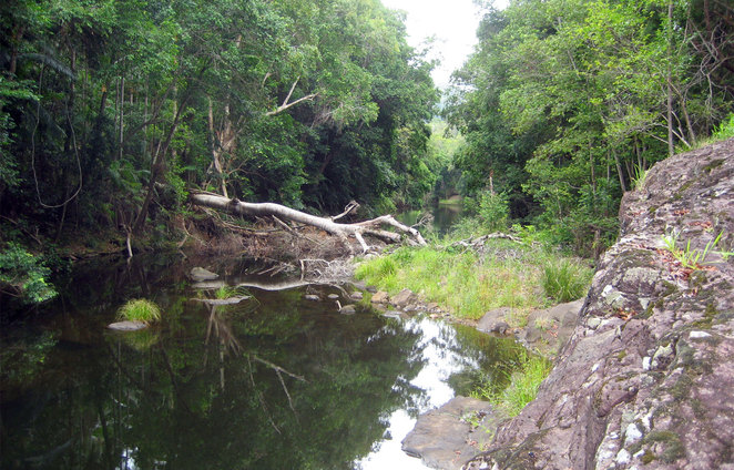 Baroon Pocket Dam to Flat Rock