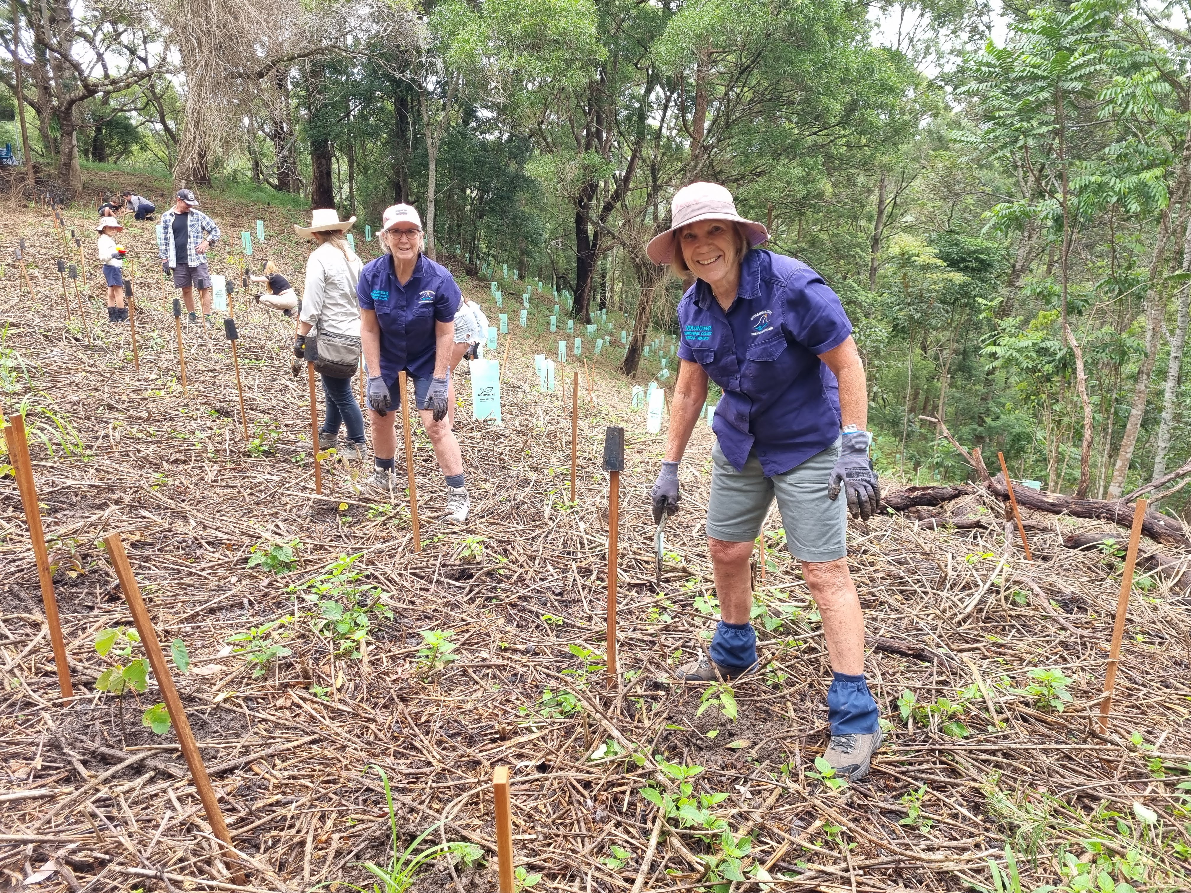 SCRC Event - Kirby Road Environmental Reserve Community Tree Planting 