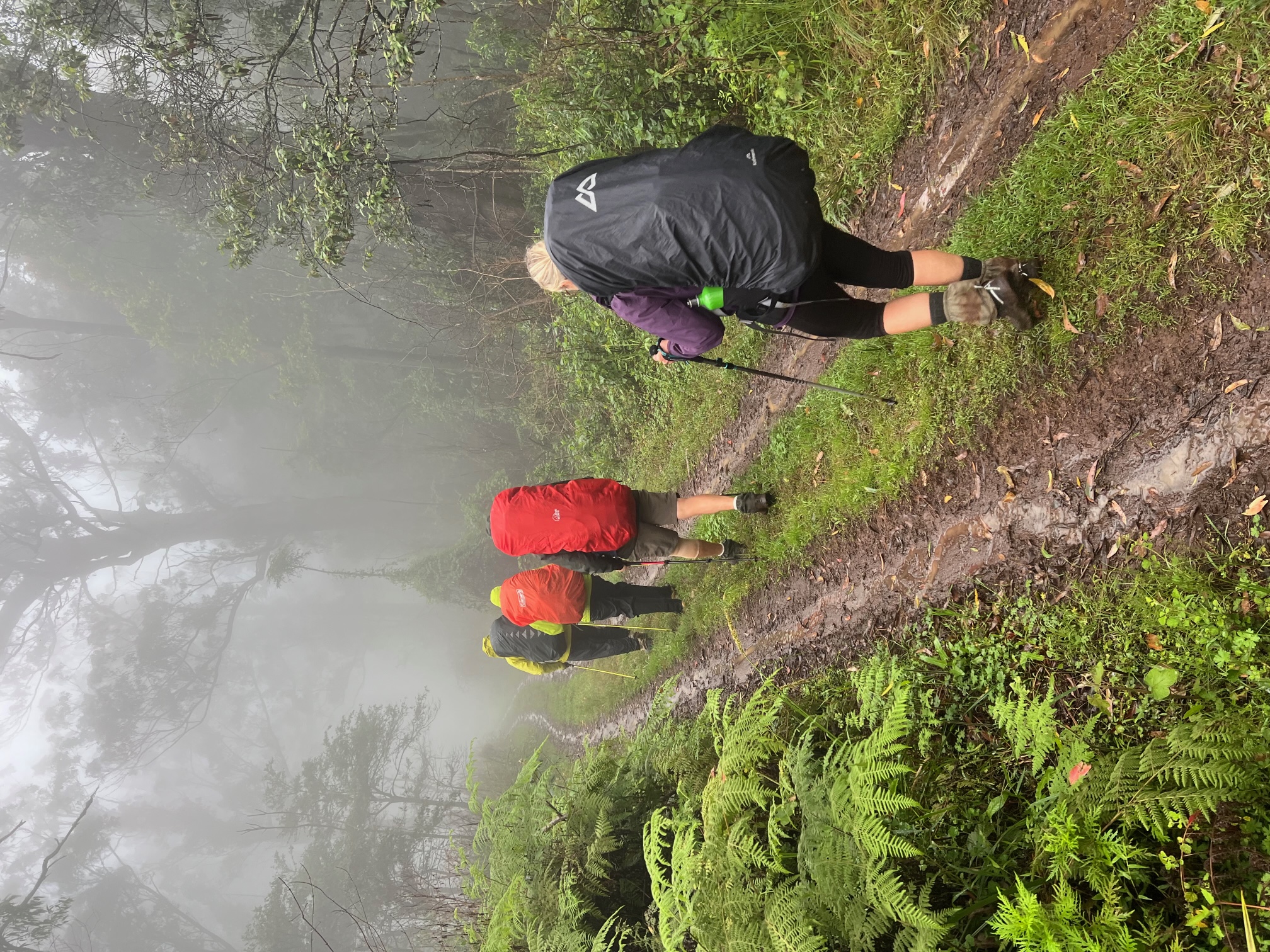 Scenic Rim 4 day Hike