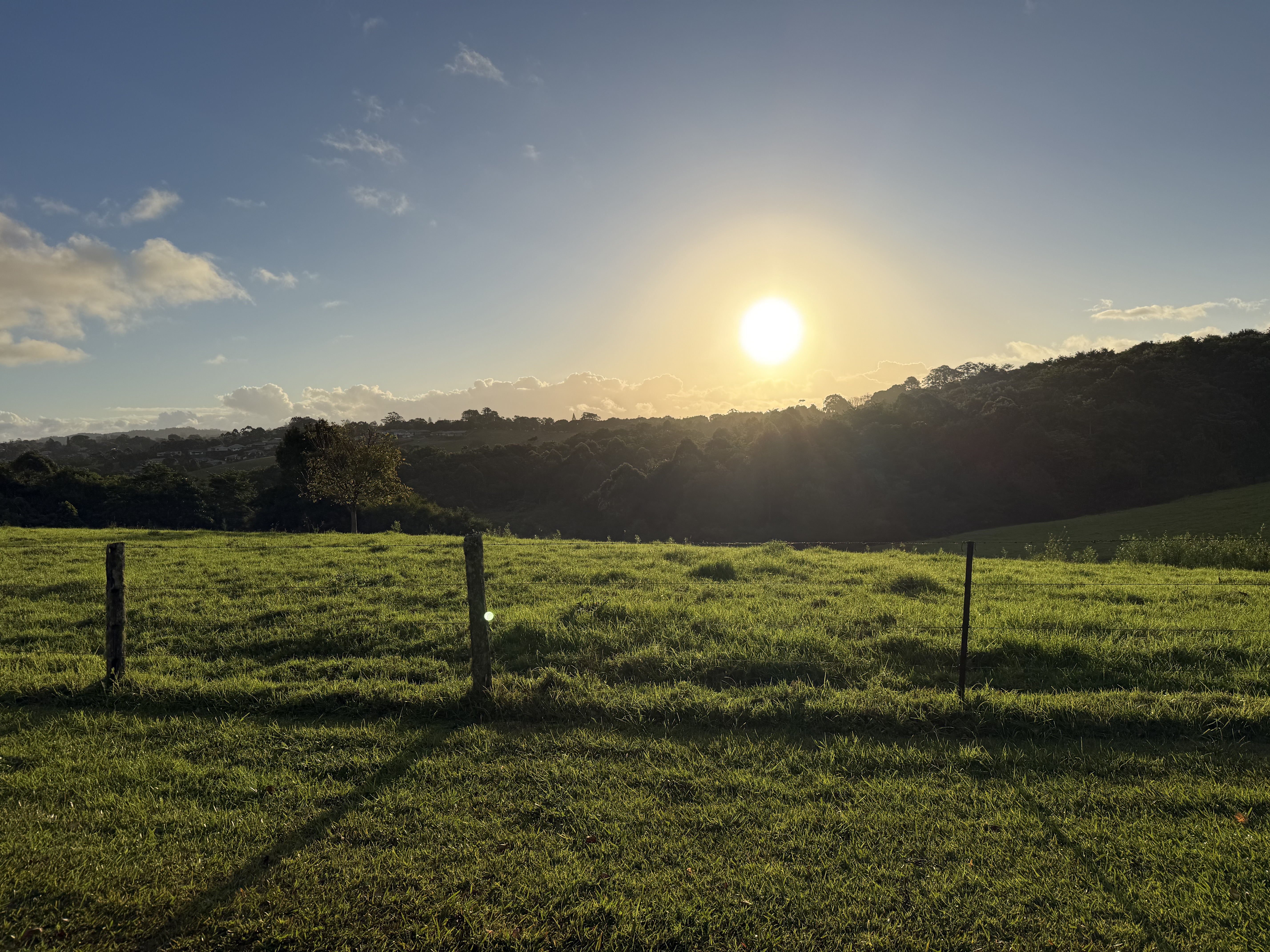 Backyard (not)Loops - North Maleny