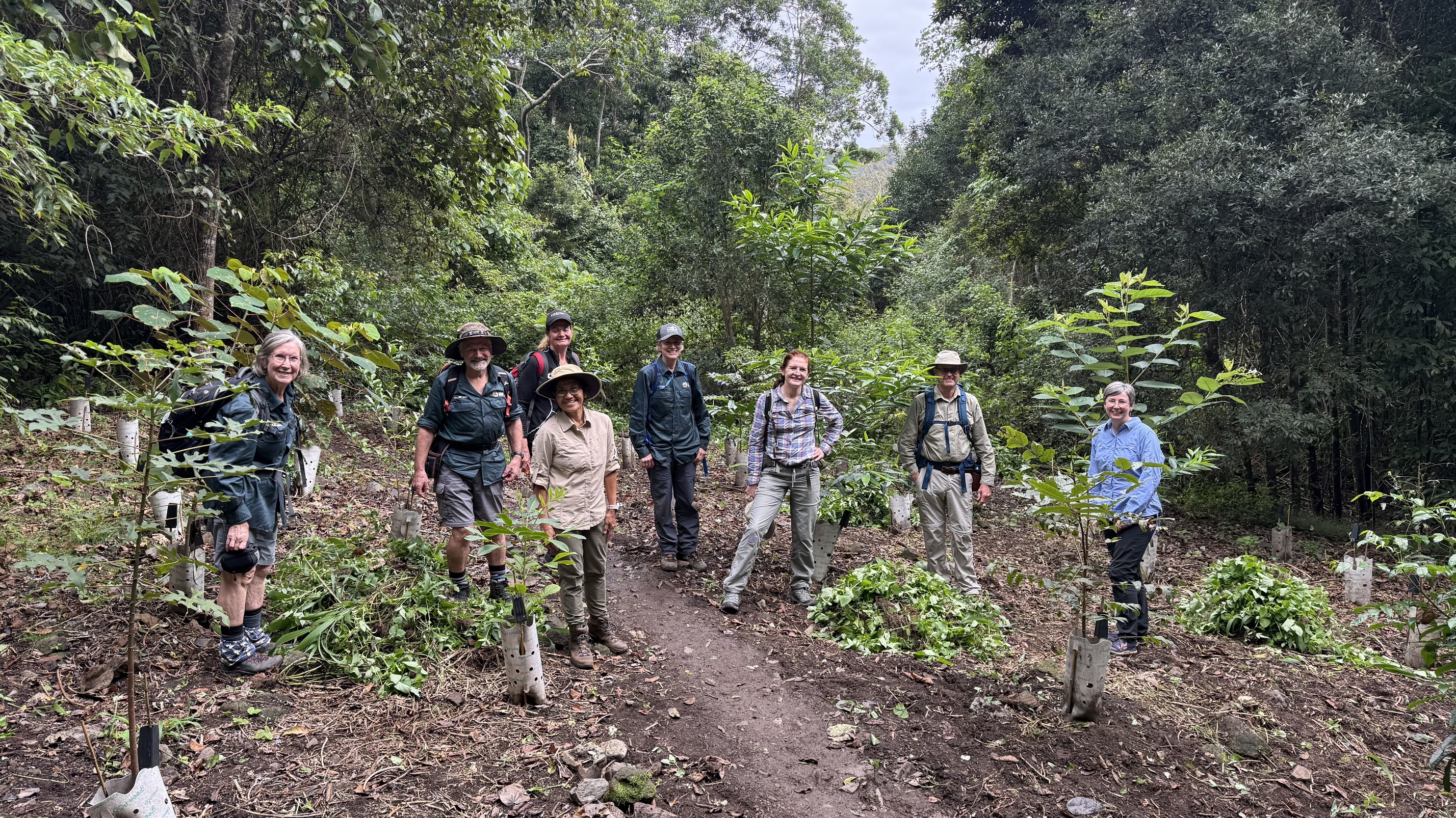 Trail Maintenance Sunshine Coast Hinterland Great Walk