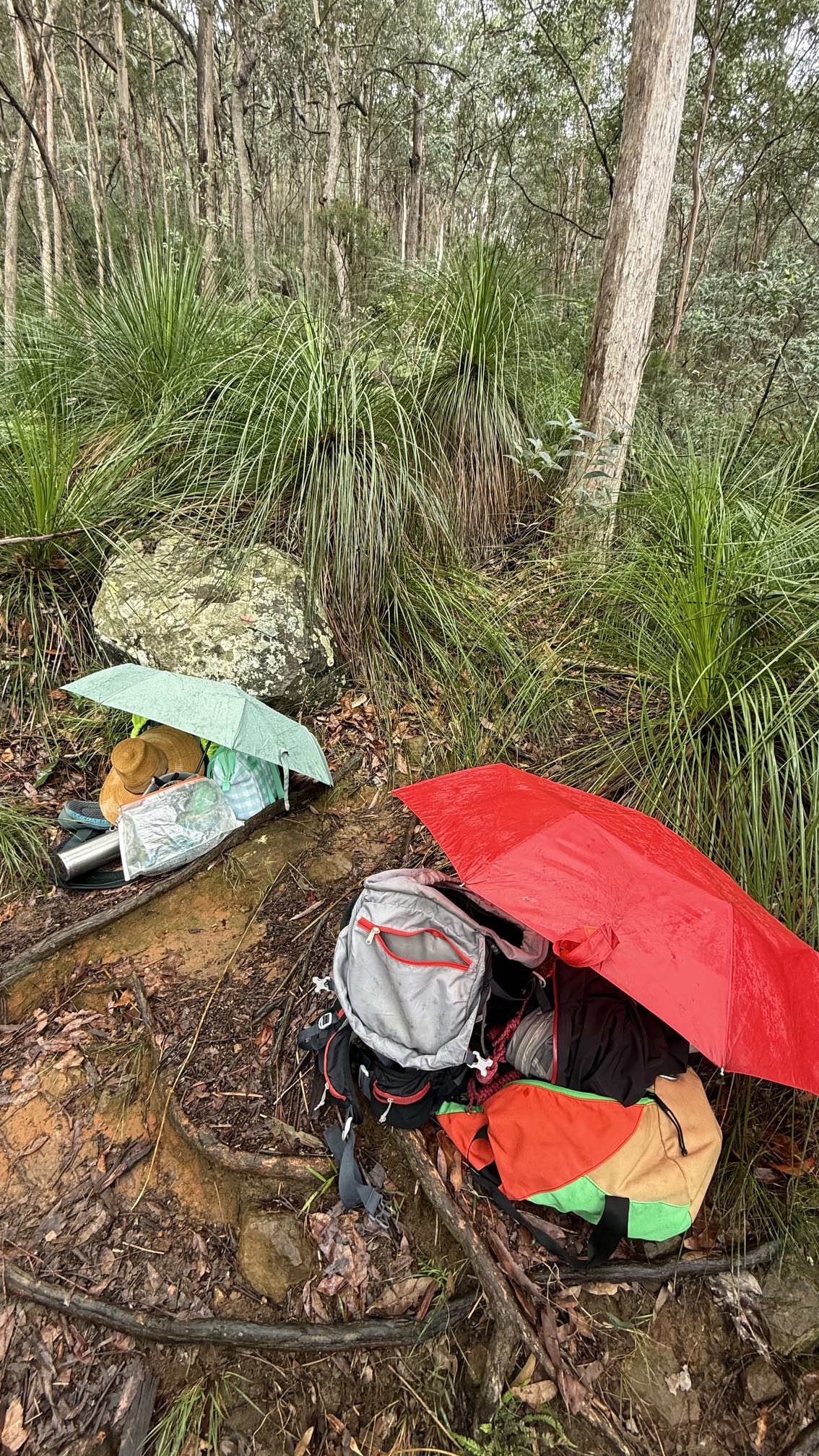 Vertical Rescue Training